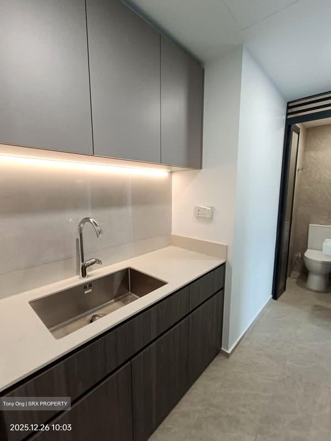 Piccadilly Grand (D8), Apartment #574173051